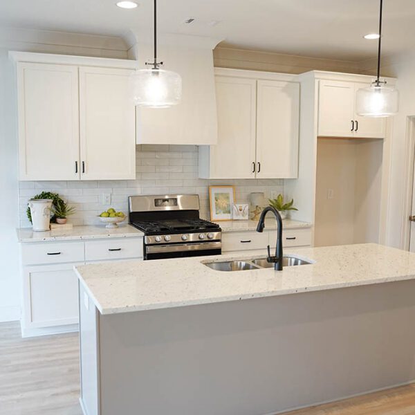 Grand Pointe Conway W-FP Lot 291